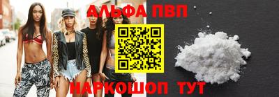 СК Гатчина