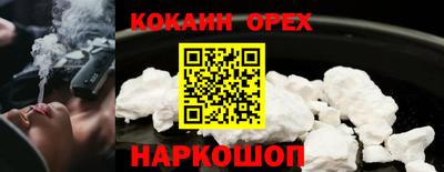 дмт Гай
