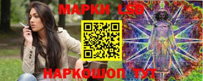 СК Гатчина