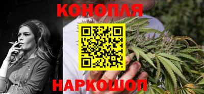 дмт Гай