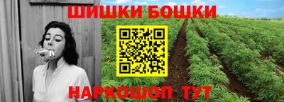 дмт Гай