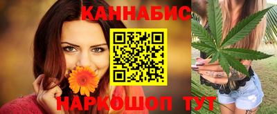 СК Гатчина