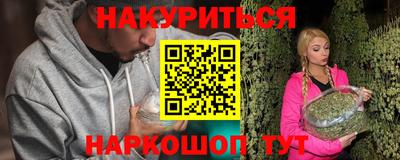 СК Гатчина