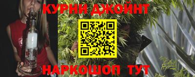 СК Гатчина