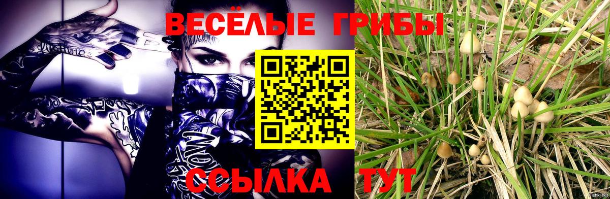 Галлюциногенные грибы Magic Shrooms  хочу   Галлюциногенные грибы мухоморы  Губаха  Вход с VPN 