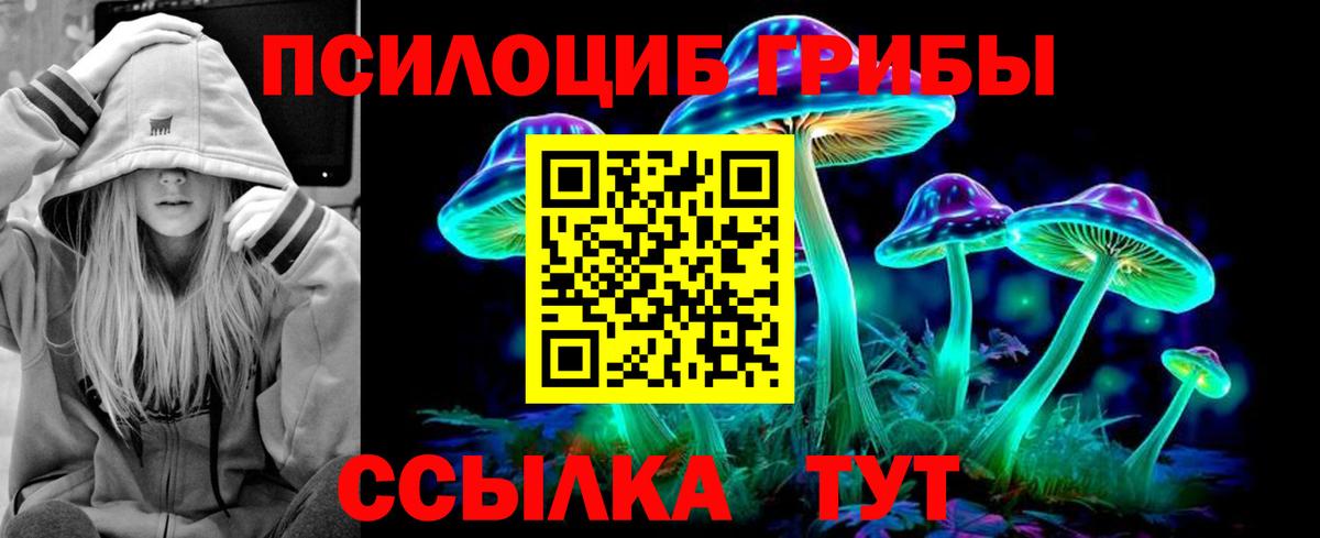 Псилоцибиновые грибы мицелий Губаха
