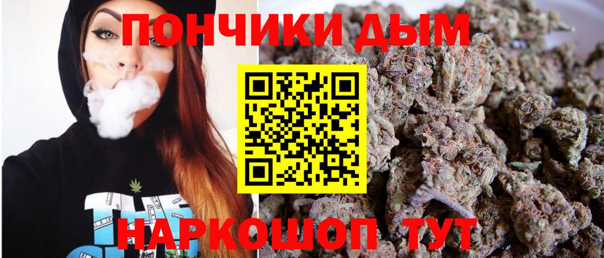 Бошки марихуана OG Kush Губаха